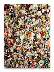 Crazy puzzle. 55x38 cm